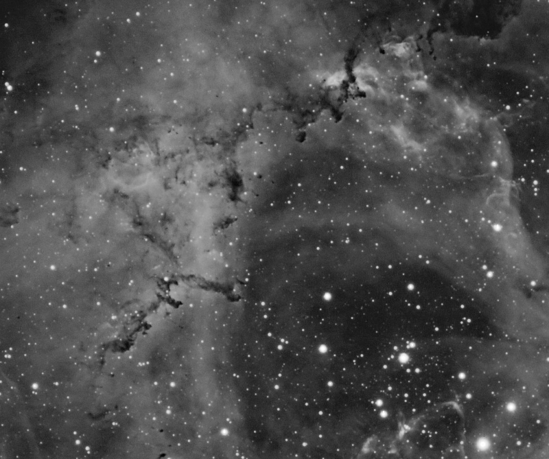 Animals in NGC2244.jpg - Title: NGC 224 Animals By: Greg Beeke 